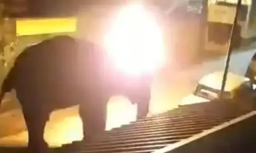 మనుషుల్లో కరువైపోతున్న మానవత్వం