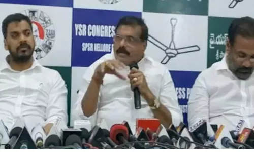 ఎస్ఈసీ నిమ్మగడ్డపై మంత్రి బొత్స ఫైర్