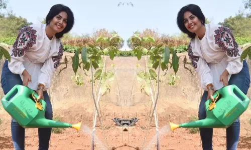 మొక్కలు నాటిన బిగ్‌బాస్ ఫేమ్ మోనాల్.. ఆ నలుగురికి ఛాలెంజ్