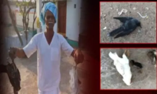 Mysterious Disease Fear Again in Vikarabad District