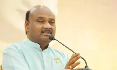 విశాఖ స్టీల్ ప్లాంట్ అమ్మకానికి పెట్టడం బాధాకరం: అయ్యన్న