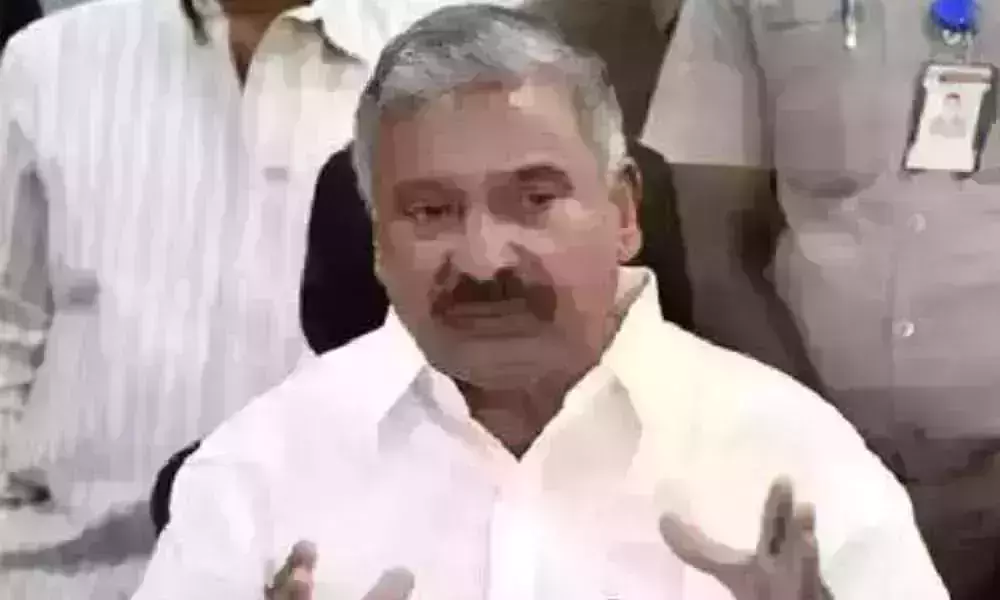 ఎస్ఈసీ ఆదేశాలకు కట్టుబడి ఉంటా : మంత్రి పెద్దిరెడ్డి