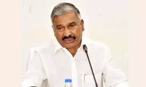 విశాఖ స్టీల్‌ప్లాంట్ ప్రైవేటీకరణ అంశంపై మంత్రి పెద్దిరెడ్డి కీలక వ్యాఖ్యలు
