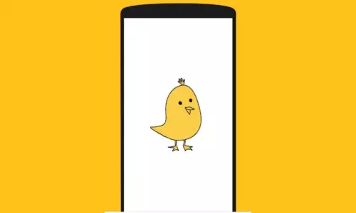 Indian networking platform Koo app Creating the sensations