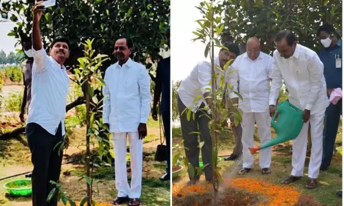 రుద్రాక్ష‌ మొక్కను నాటిన సీఎం కేసీఆర్