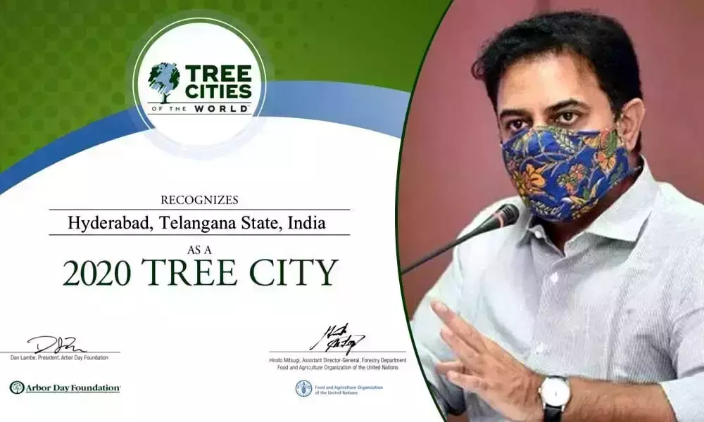 Tree city Of The World International Award To Hyderabad