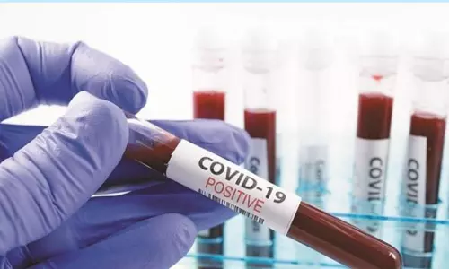 India Reports 13,193 New Corona Cases India Reports 13,193 New Corona Cases