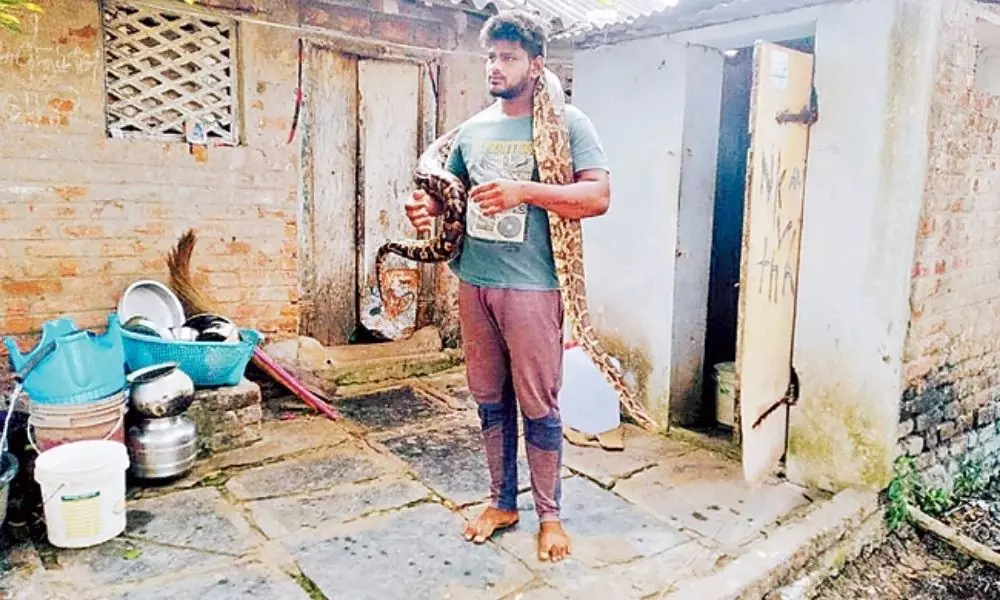 A young man raising python at home