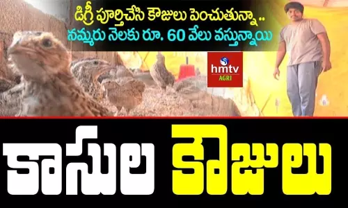 కాసుల కౌజులు: కౌజుల పెంపకంలో రాణిస్తున్న నల్గొండ యువరైతు..