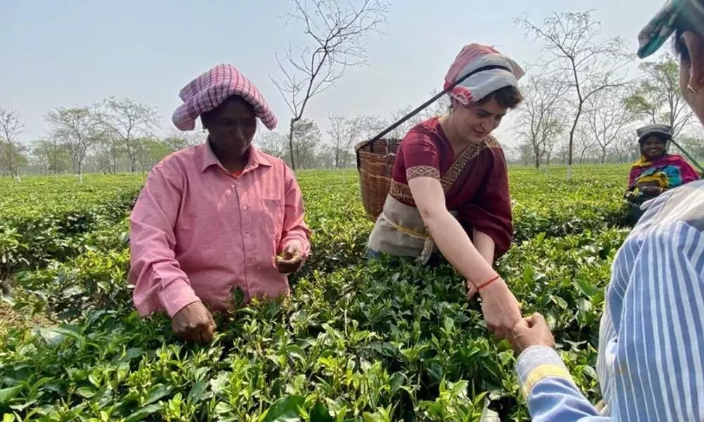 Priyanka Gandhi interacts with Assam tea workers