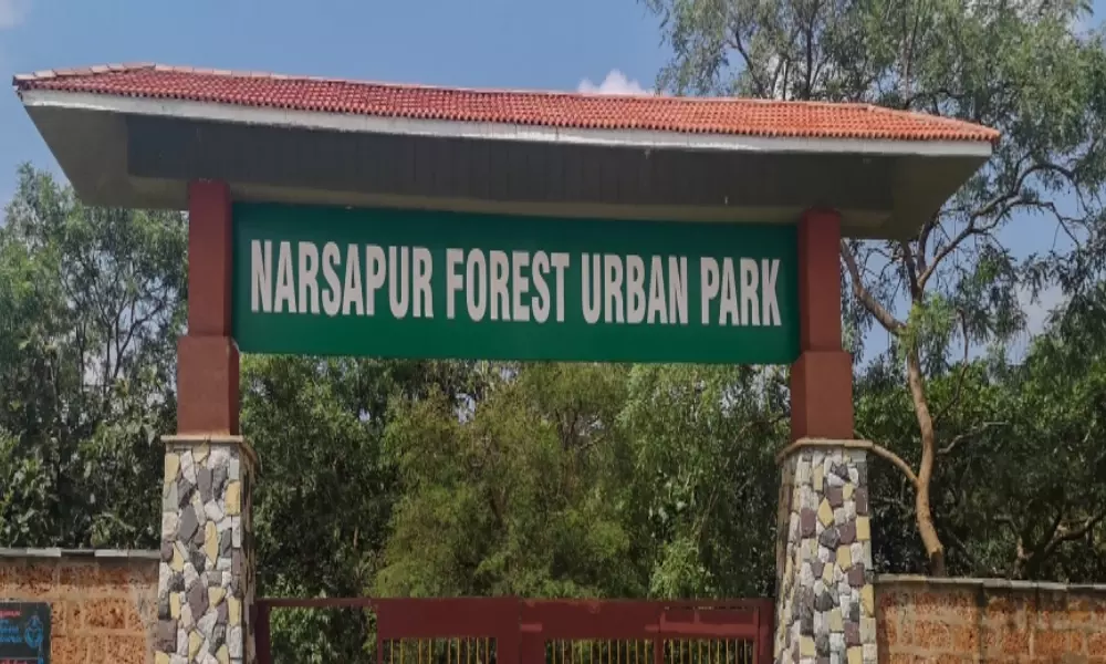 Urban Park development in Narsapur Telangana