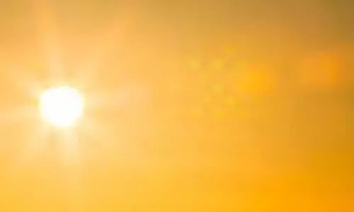 These Precautions Should be Followed in Summer These Precautions Should be Followed in Summer