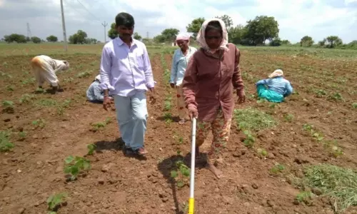 Women Farmers Excelling in agriculture Women Farmers Excelling in agriculture