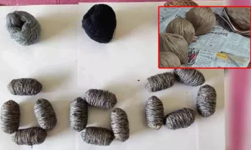 Bombs Founded In Ananthapur District