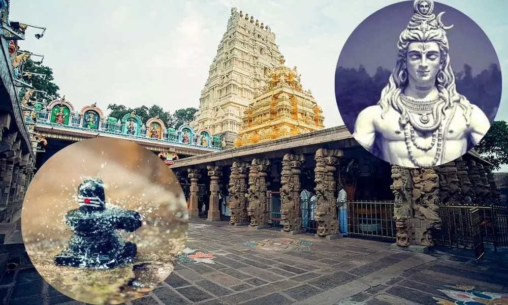 Maha Shivaratri 2021 Puja Rules in Telugu
