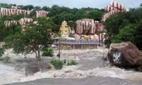 Vana Durgamma Temple