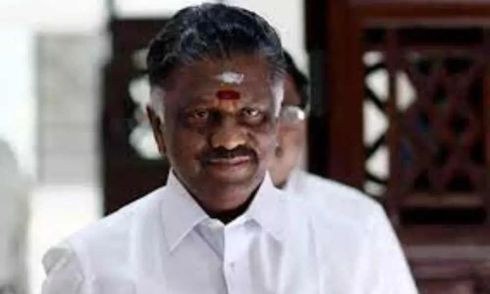Tamil Nadu Election: Panneerselvam Files Nomination in Bodinaickanur