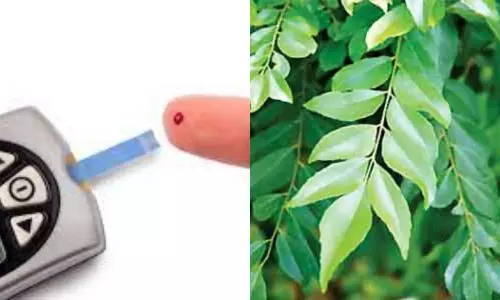 Benefits of Curry Leaves