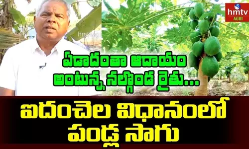 Organic Farming: Farmer Anji Reddy Success Story Organic Farming: Farmer Anji Reddy Success Story