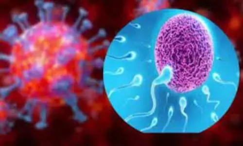 Corona Updates: Corona Second Wave started in Maharashtra