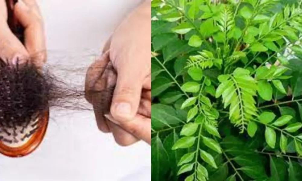 Curry Leaves for Hair Growth