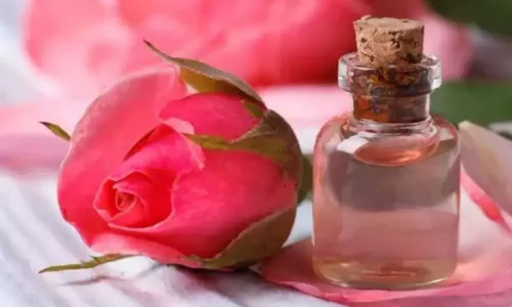 Rosewater: Rose Water to Enhance Skin Glow