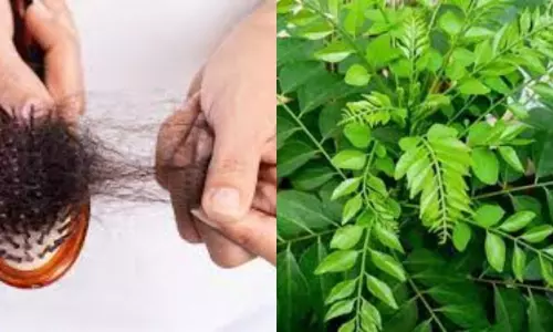 Curry Leaves for Hair Growth Curry Leaves for Hair Growth
