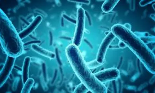 Another Pandemic Superbug on the Andaman Islands