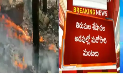 Fire in Thirumala Seshachala Forests Fire in Thirumala Seshachala Forests