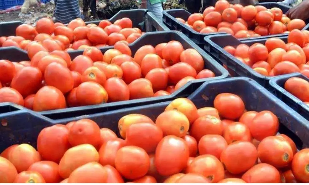 Tomato Price Down in Telangana