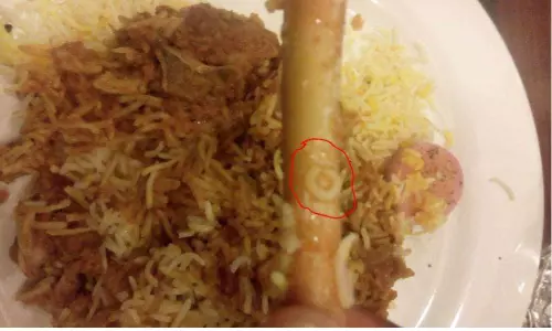 Worms in Zomato Ordered Biryani