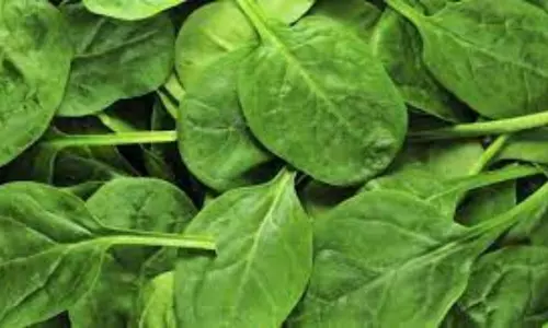 LifeStyle: Spinach the miracle ingredient that your skin LifeStyle: Spinach the miracle ingredient that your skin