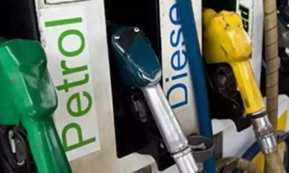 Petrol Price Stable In Indian Metro Cities