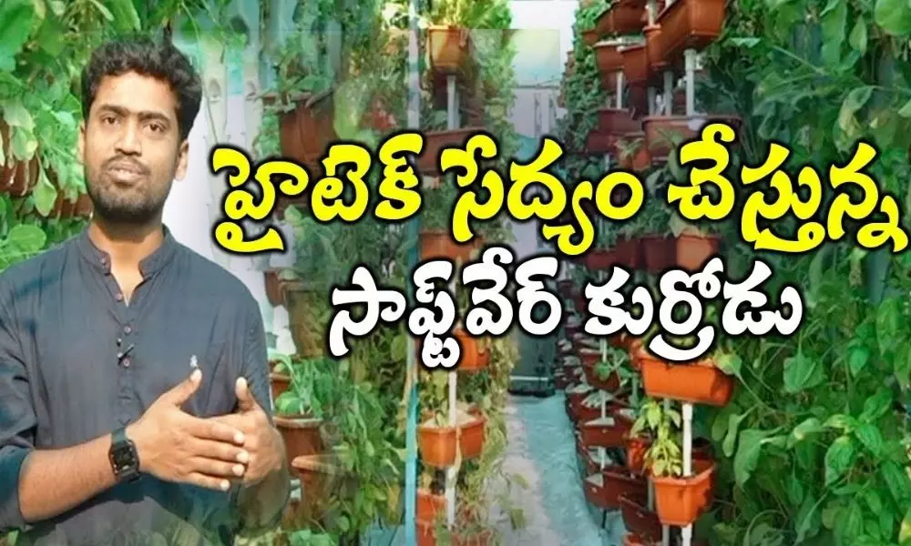 Hydroponic Farming in Telugu by Software Employee Harikrishna