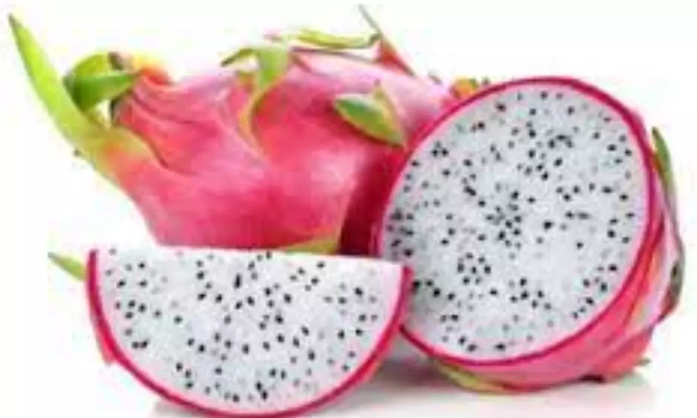 Dragon Fruit Benefits in Telugu Dragon Fruit Benefits in Telugu