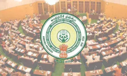 Cabinet Approves AP Budget Ordinance