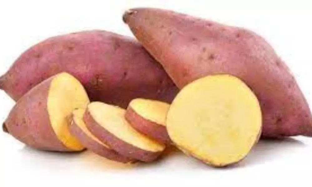 Sweet Potatoes Help Maintain Stress Levels