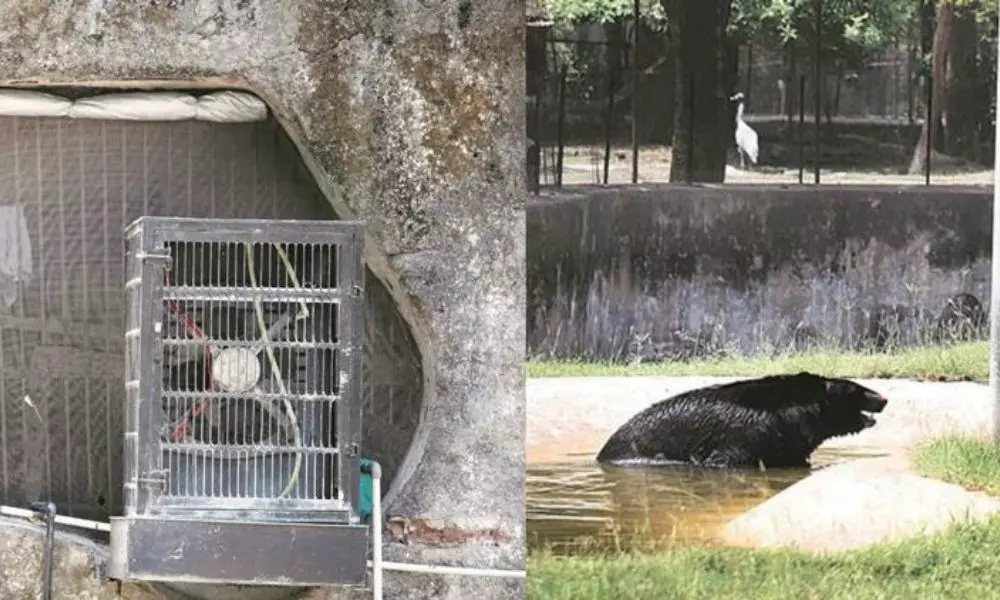 Authorities Installed Coolers in Hyderabad zoo park