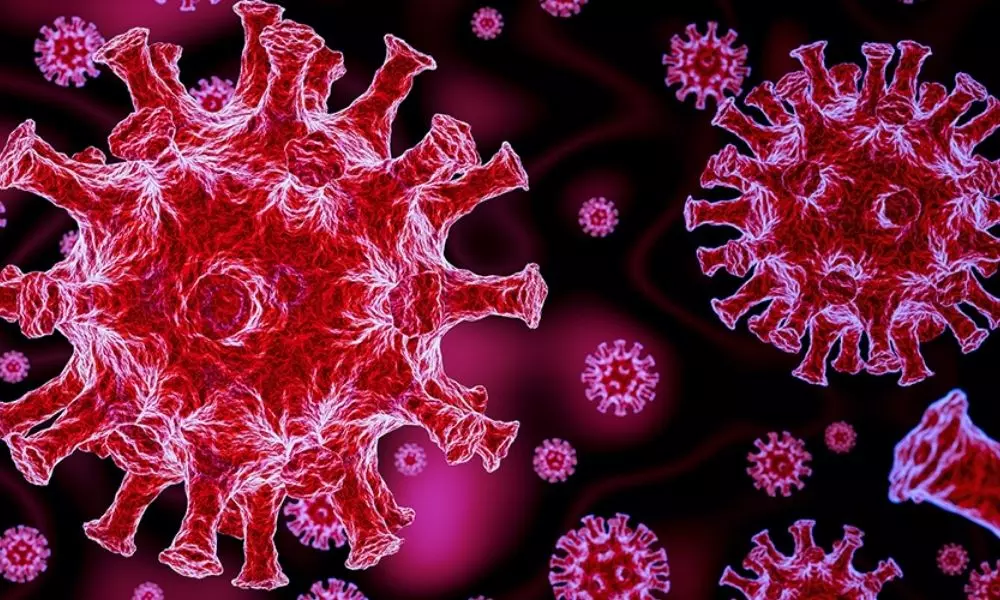 997 New Coronavirus Cases Reported in Andhra Pradesh