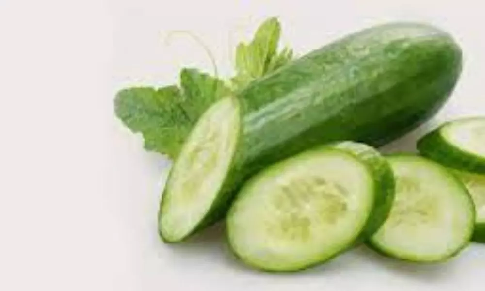 Cucumber Benefits for Skin, Hair