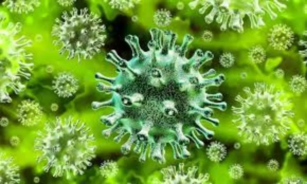 Coronavirus Spreading in India