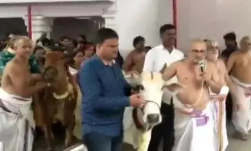 Naming Ceremony to Calf in Huzurabad