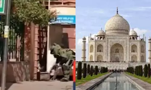 Unclaimed box Found on the Road Near Taj Mahal