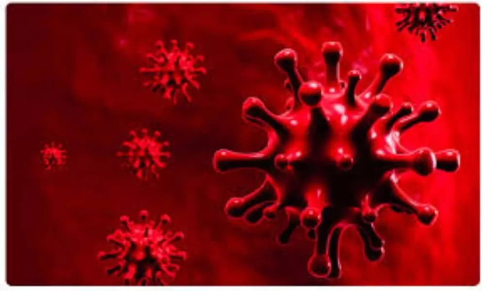 Coronavirus Second Wave Fear in Andhra Pradesh