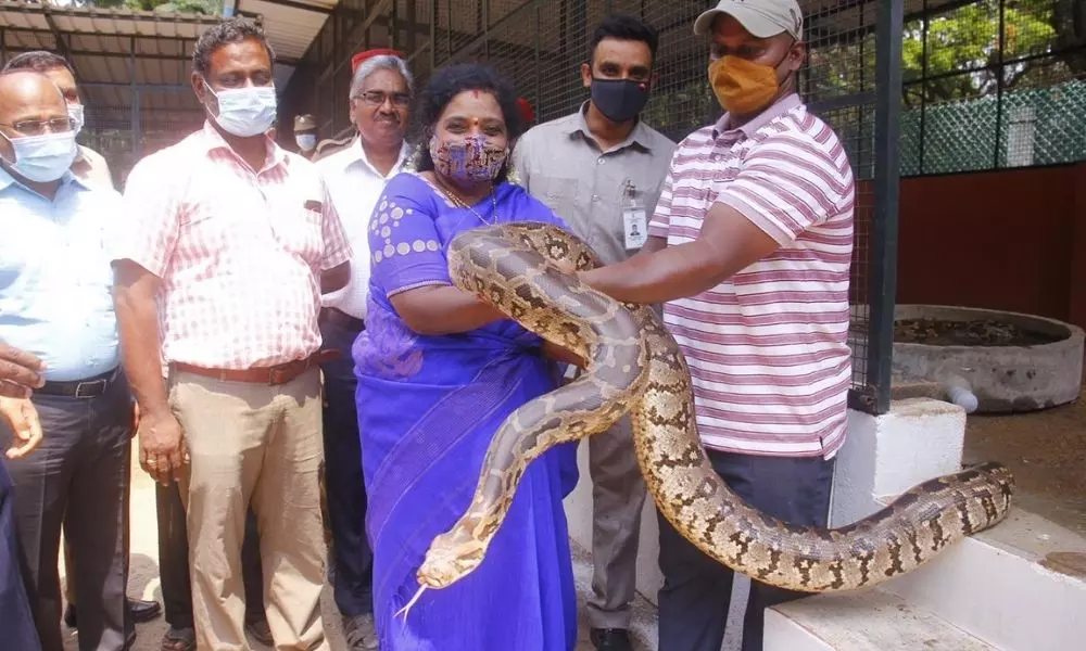 Governor Tamilisai Soundararajan Visits Zoo Park