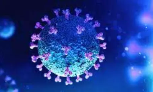 TS High Court Hearing on Covid Cases