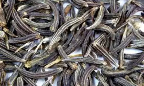 Black Cuminum Gel for Bouncy Hair