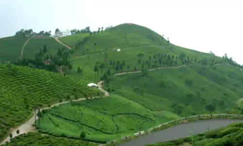 Horsley Hills Adventure Horsley Hills Adventure