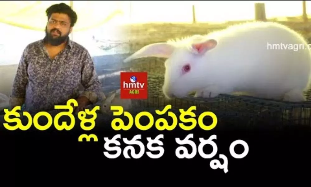 Rabbit Farming: Young Farmer Santosh Success Story