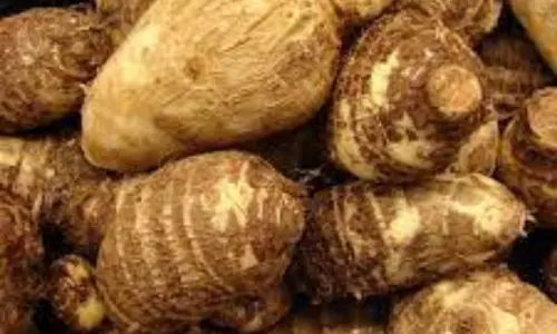 Magical Health Benefits of Taro Root